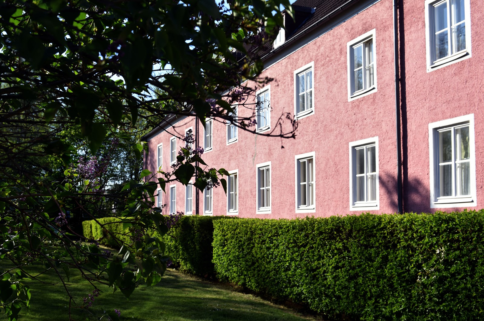 Einziehen und wohlfühlen: stadtnahe Erdgeschosswohnung // EG rechts - Photo 3